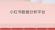 小红书数据分析平台 小红书达人数据分析