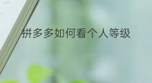 拼多多如何看个人等级 拼多多如何看物流
