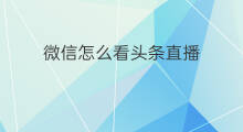 微信怎么看头条直播 微信电脑版怎么看头条直播
