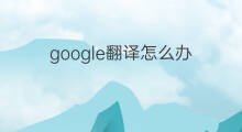 google翻译怎么办 用google注册google账号怎么办