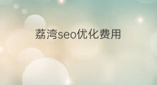 荔湾seo优化费用 云浮seo优化费用