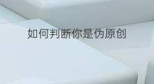 如何判断你是伪原创 如何判断是否是伪原创