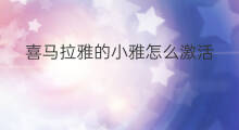 喜马拉雅的小雅怎么激活 喜马拉雅怎么关闭小雅书房