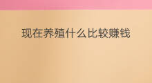 现在养殖什么比较赚钱 做什么养殖比较赚钱