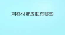 刺客付费皮肤有哪些 刺客付费皮肤是什么