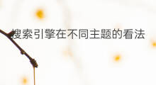 搜索引擎在不同主题的看法 搜索引擎搜索不同