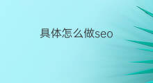 具体怎么做seo 淘宝seo具体怎么做