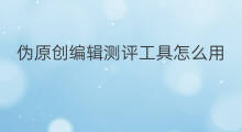 伪原创编辑测评工具怎么用 伪原创编辑好干吗