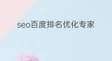 seo百度排名优化专家 医院百度排名优化专家
