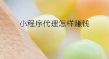 小程序代理怎样赚钱 小程序代理真赚钱吗