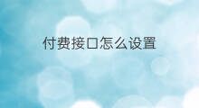 付费接口怎么设置 付费接口怎么用