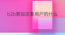 b2b更加注重用户的什么 b2b的b指什么