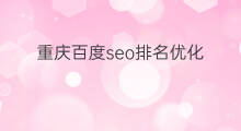 重庆百度seo排名优化 重庆优化百度排名