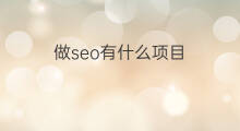做seo有什么项目 seo项目适合什么框架