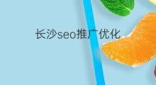 长沙seo推广优化 长沙seo的优化