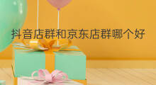 抖音店群和京东店群哪个好 京东店群哪个最好