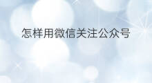怎样用微信关注公众号 微信怎样关注公众号