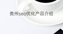 贵州seo优化产品介绍 贵州seo优化