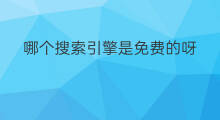 哪个搜索引擎是免费的呀 目录搜索引擎是搜索引擎吗