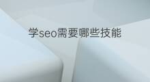 学seo需要哪些技能 跨境电商需要学什么技能