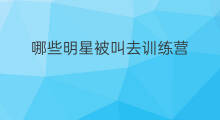 哪些明星被叫去训练营 明星训练营有什么