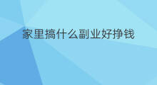 家里搞什么副业好挣钱 在家里做副业挣钱吗