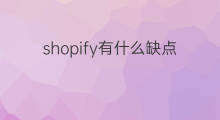 shopify有什么缺点 chatgpt有什么缺点