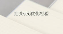 汕头seo优化经验 汕头seo基础优化