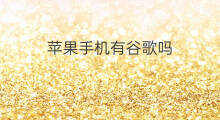 苹果手机有谷歌吗 苹果搜索谷歌吗