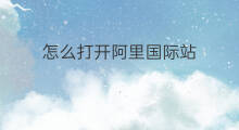 怎么打开阿里国际站 阿里国际站咋样