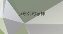 京东公司怎样 京东公司在哪