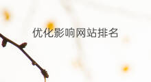 优化影响网站排名 哪里影响网站排名