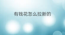 有钱花怎么拉新的 什么小程序拉新有钱