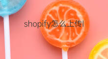 shopify怎么上传logo shopify产品上传优化