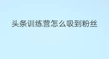 头条训练营怎么吸到粉丝 训练营怎么加粉丝