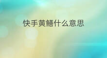 快手黄鳝什么意思 快手小黄鳝啥意思