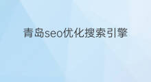 青岛seo优化搜索引擎 搜索引擎seo优化