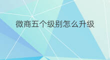 微商五个级别怎么升级 抖音级别怎么升级