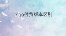 csgo付费版本区别 chatgpt版本区别