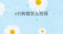 nft转赠怎么担保 nft转赠怎么担保交易