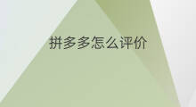 拼多多怎么评价 拼多多如何评价