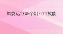 燃烧远征哪个副业带技能 副业自学什么技能好