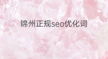 锦州正规seo优化词 正规关键词优化seo