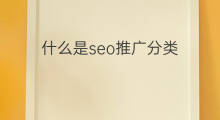 什么是seo推广分类 南阳seo效果推广分类