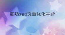 廊坊seo页面优化平台 廊坊seo优化文案