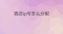 酒店ip号怎么分配 酒店分配ip号是什么意思