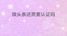 微头条还需要认证吗 认证微头条需要垂直吗