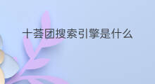 十荟团搜索引擎是什么 十大搜索引擎是什么
