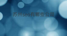 苏州seo有哪些公司 苏州seo优化公司