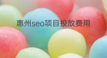 惠州seo项目投放费用 惠州seo推广投放费用